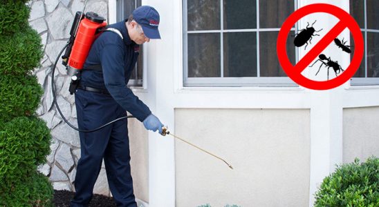 Manisa Dezenfeksiyon böcek ilaçlama ve haşere kontrolü — ilaclama-tr.com